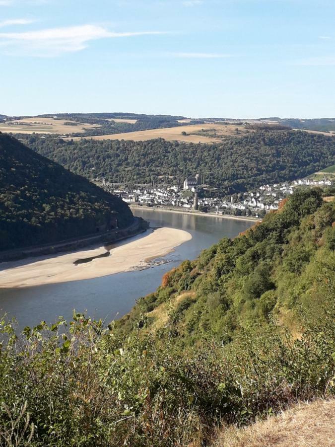 Ferienwohnung 554 - Urbar, Vis-A-Vis Der Loreley Urbar  外观 照片