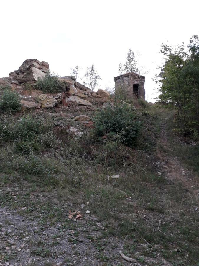 Ferienwohnung 554 - Urbar, Vis-A-Vis Der Loreley Urbar  外观 照片