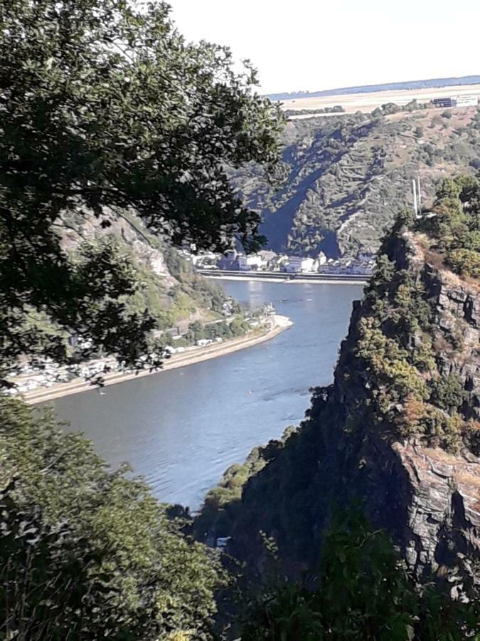 Ferienwohnung 554 - Urbar, Vis-A-Vis Der Loreley Urbar  外观 照片